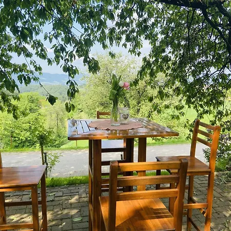 Gaestezimmer Weisch ליוצכאך